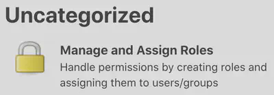 Manage and Assign Roles Option