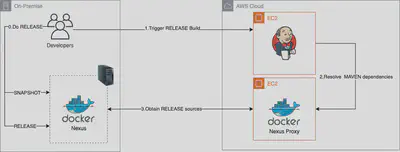 Nexus Proxy